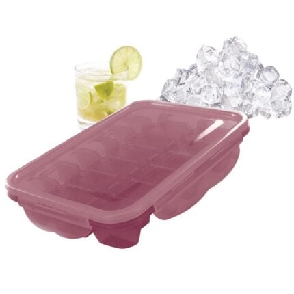 Bac 21 Glacons Avec Couvercle "Clipsable" 25 cm