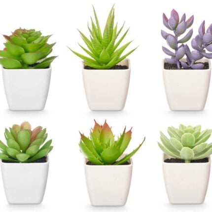Plante Artificielle "Grasse" 10cm Blanc