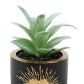 Plante Artificielle  "Corazòn" Noir et Dorée